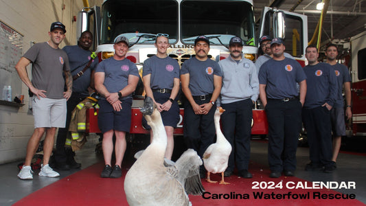 Carolina Waterfowl Rescue 2024 Calendar
