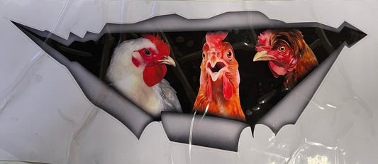 Suprise Chicken Sticker