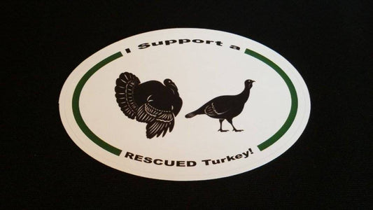 I support a rescued turkey