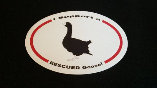 I support a rescued goose