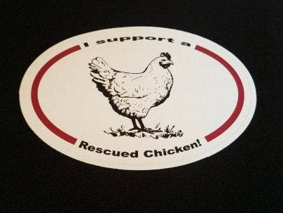 I support a rescued chicken